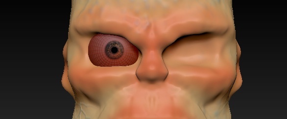 eye.jpg