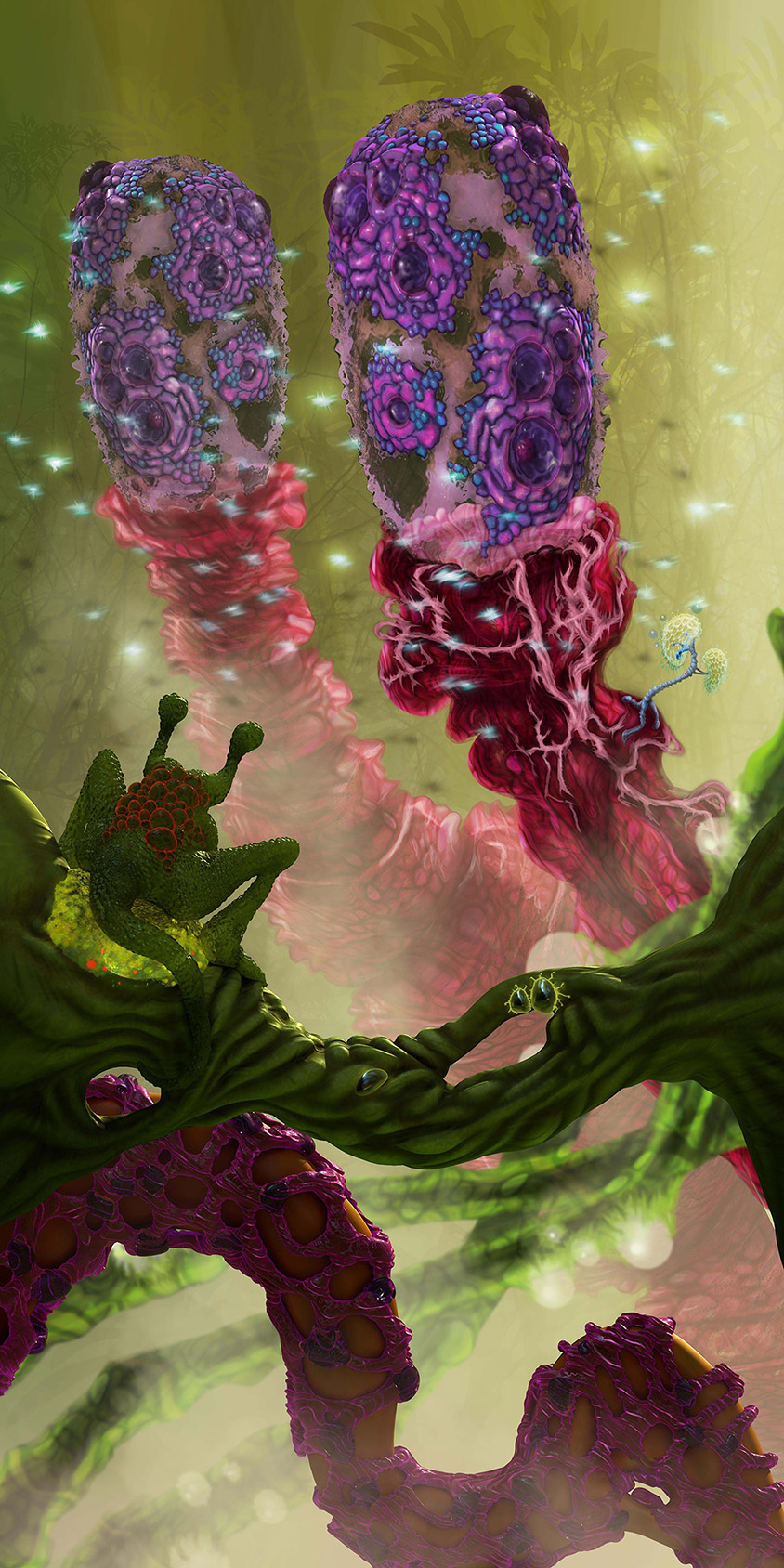 Foggy_froggy_web_low_rez.jpg