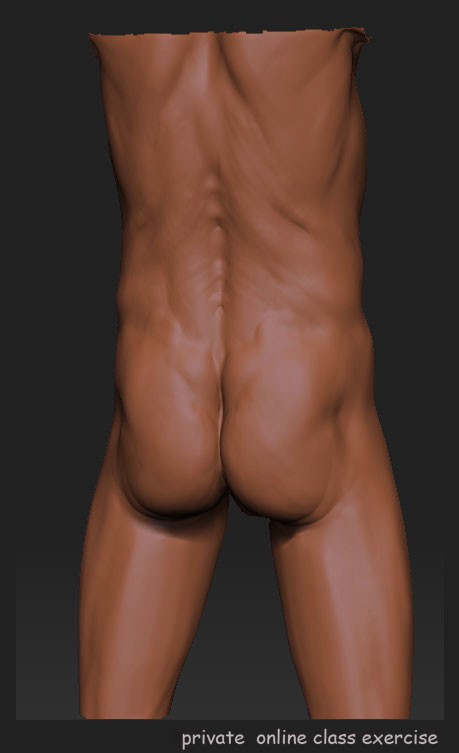 body_exercise_15