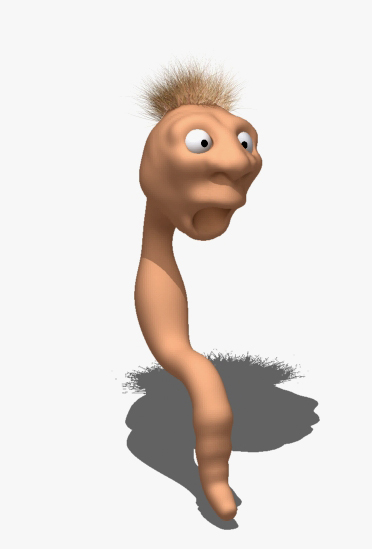 worm with hair.jpg