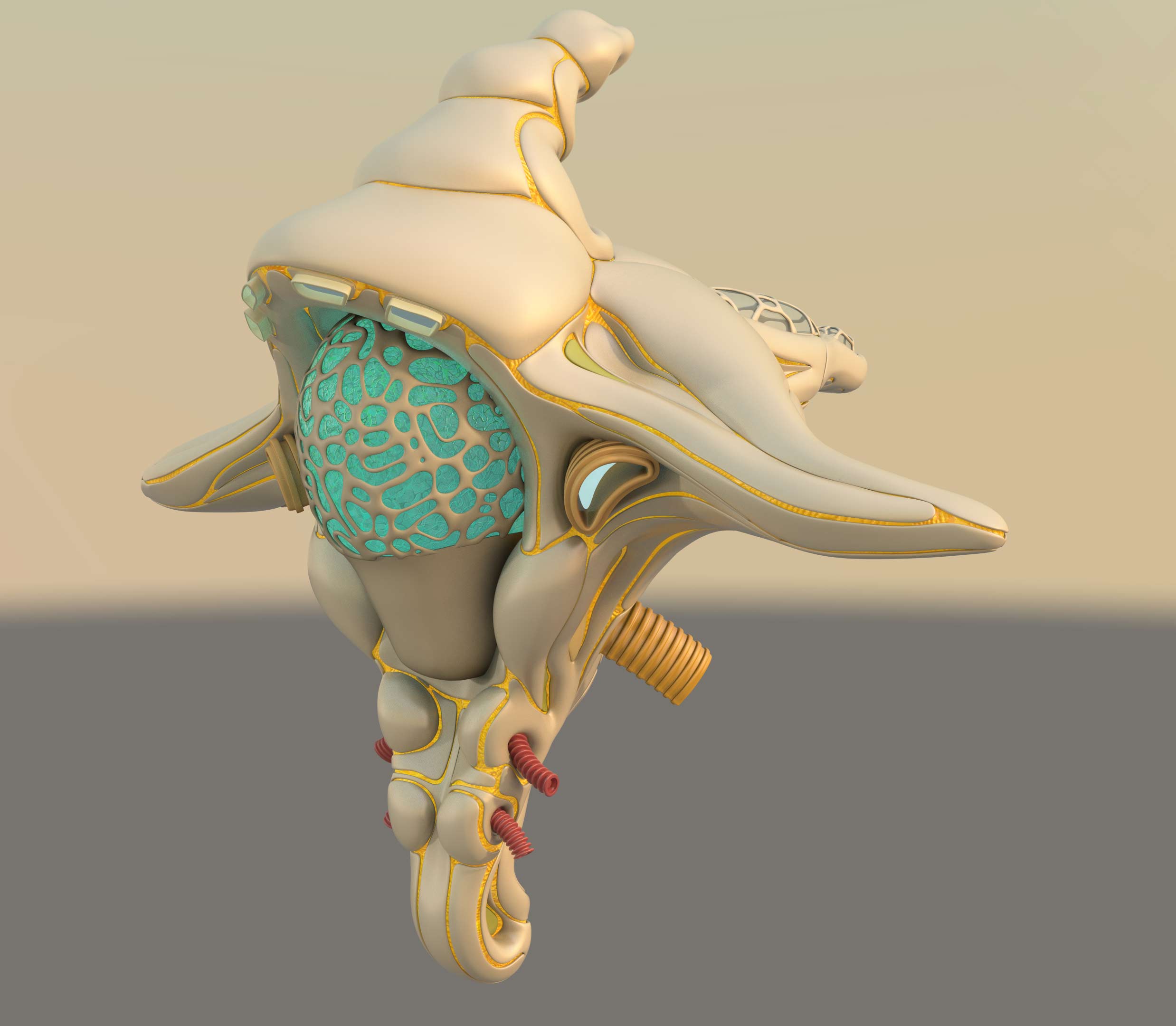 floaty-ship-rear-1.jpg