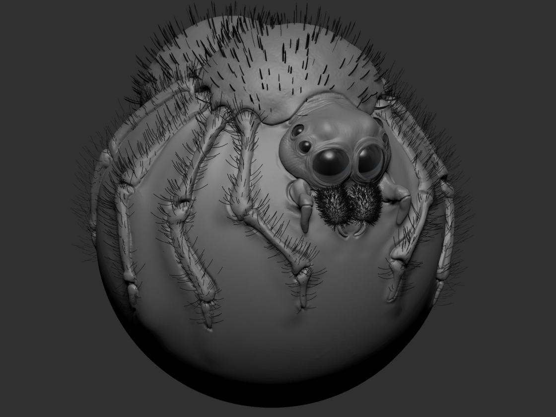 SpiderBall_JPad_2018_Fibermesh.jpg