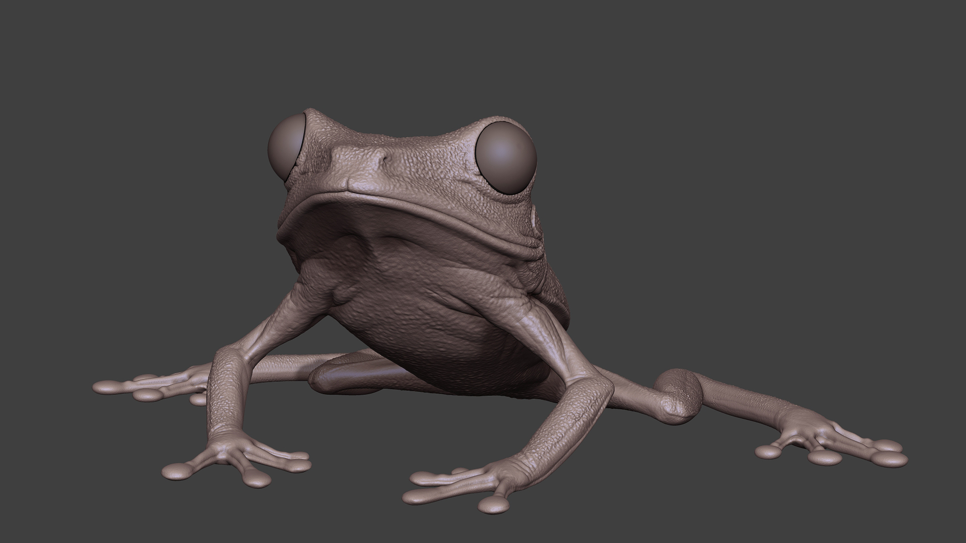 LeafFrog_05.jpg