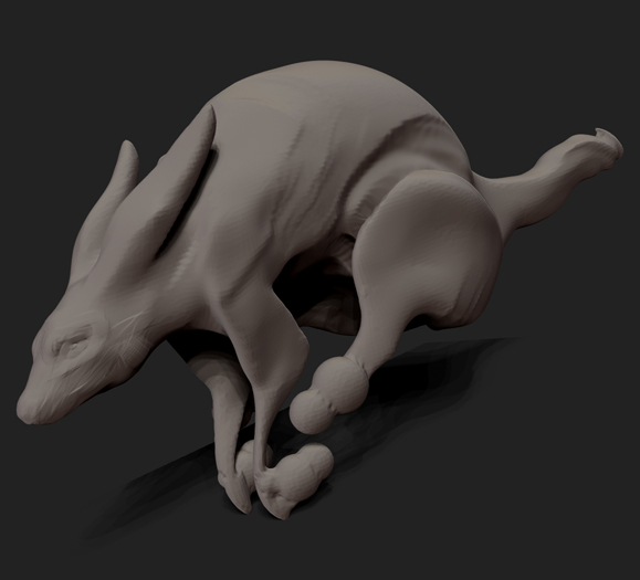 animal1.jpg