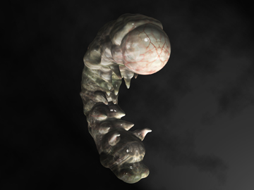 BPR_Render.jpg
