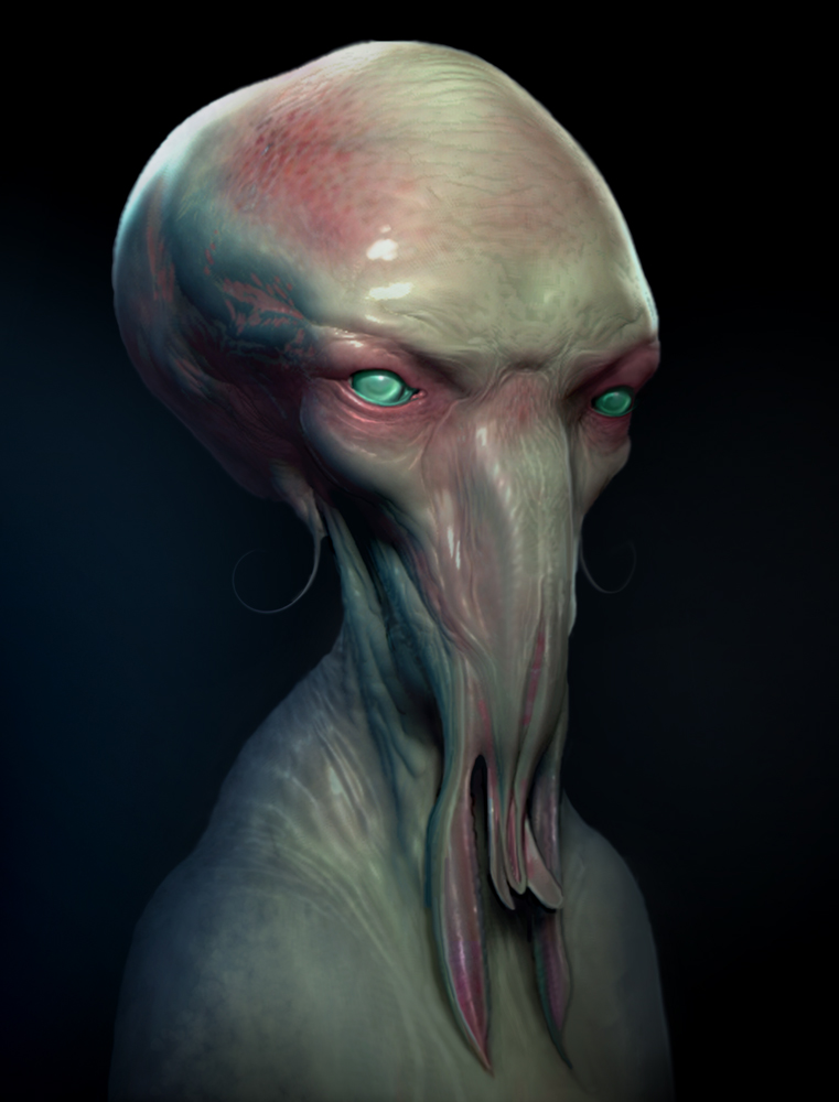 NAUTILUS 8.jpg