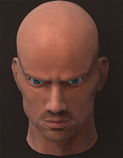Head Final.jpg