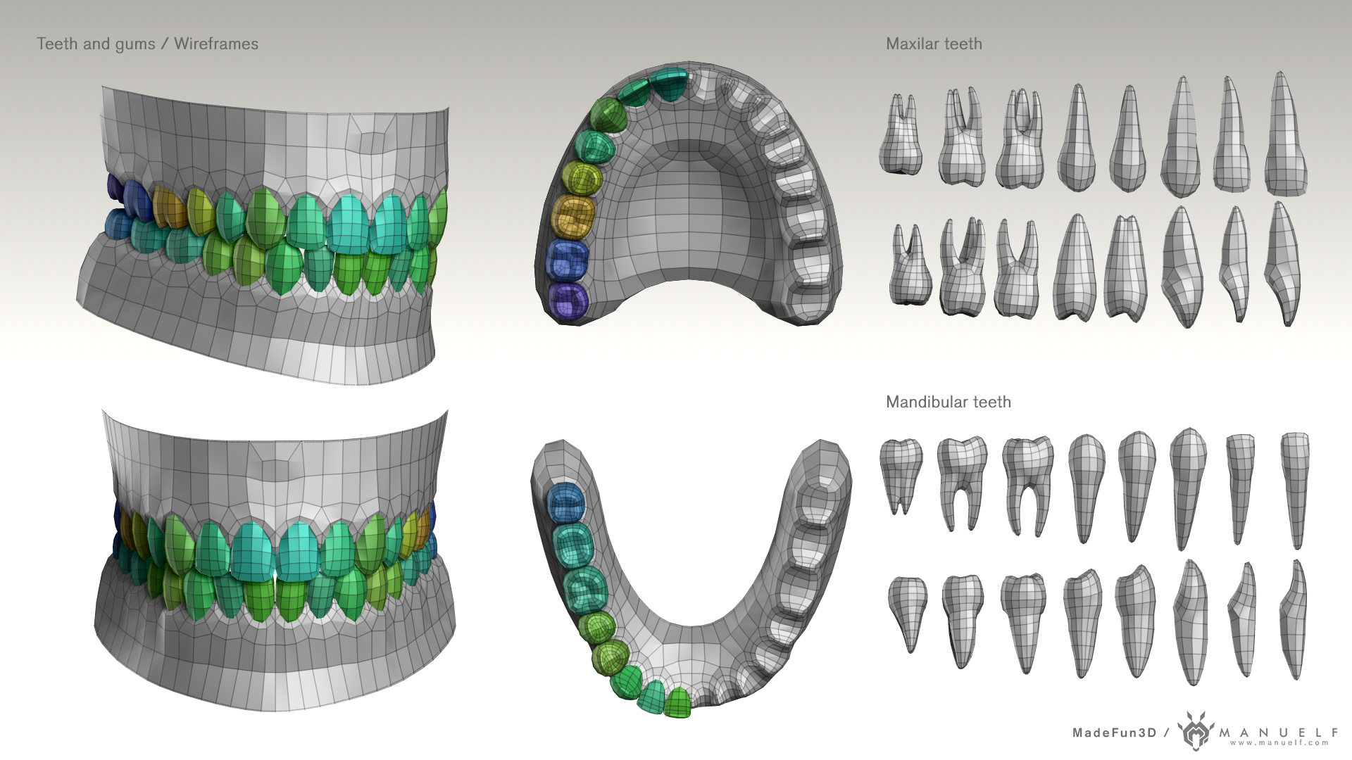 15_MFun3D_CBBP_Teeth_WireFrames.jpg