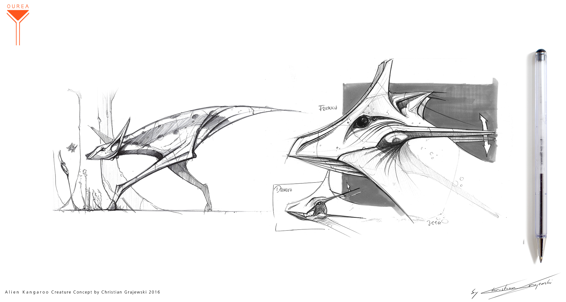Alien Kangaroo Creature Concept 01 by Christian Grajewski.jpg