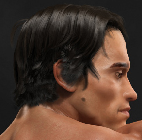 Arnold_Hair.jpg