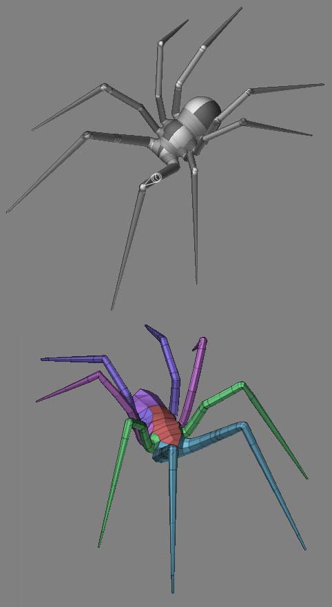 spider.jpg