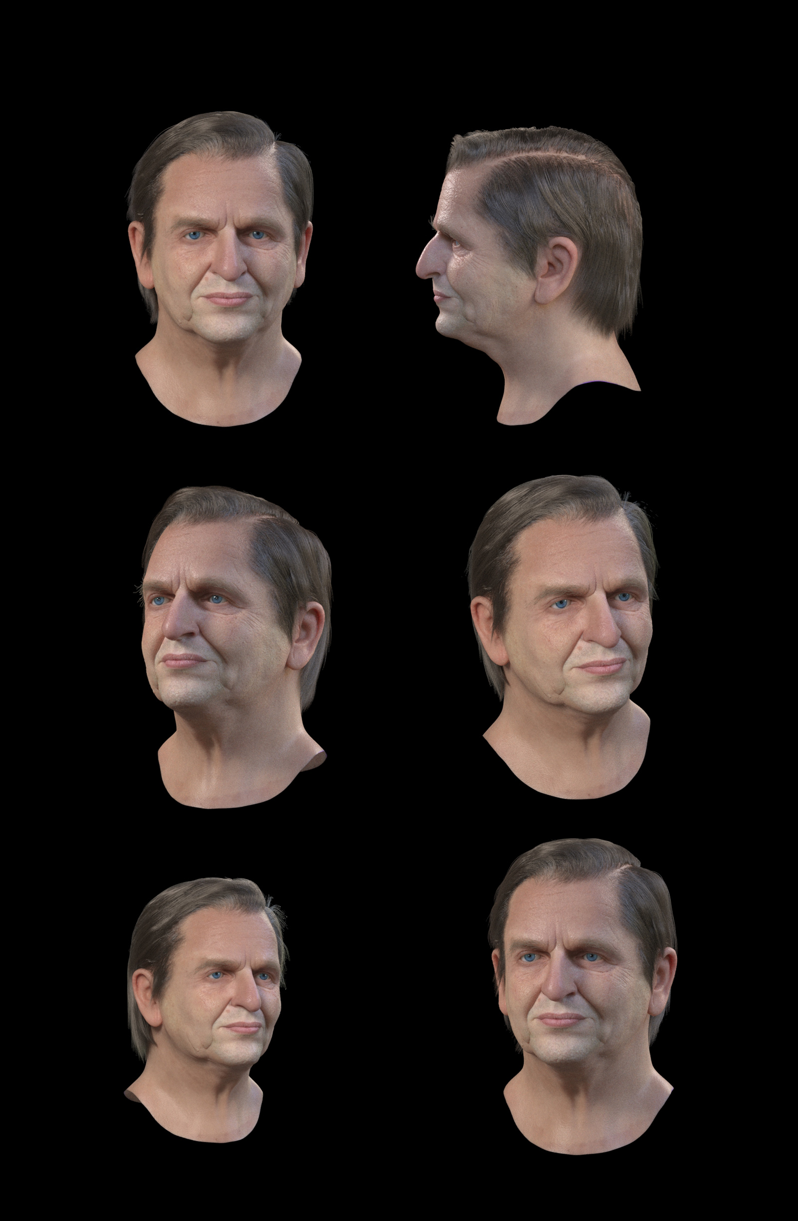 WipHair1.jpg