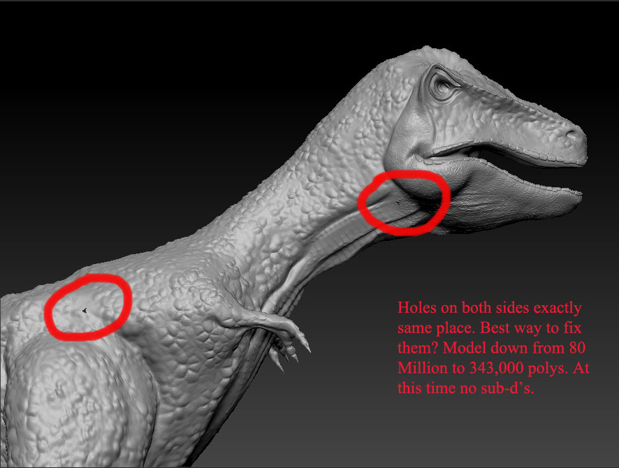 rex_holes.jpg