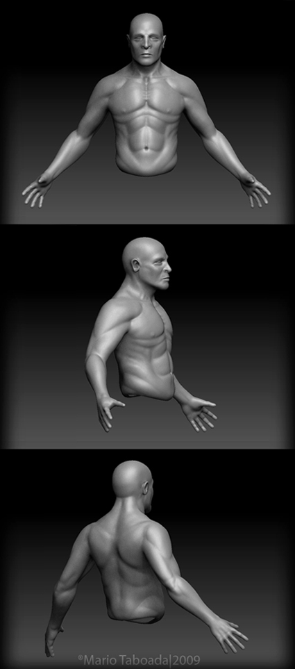 MaleModelwip01.jpg
