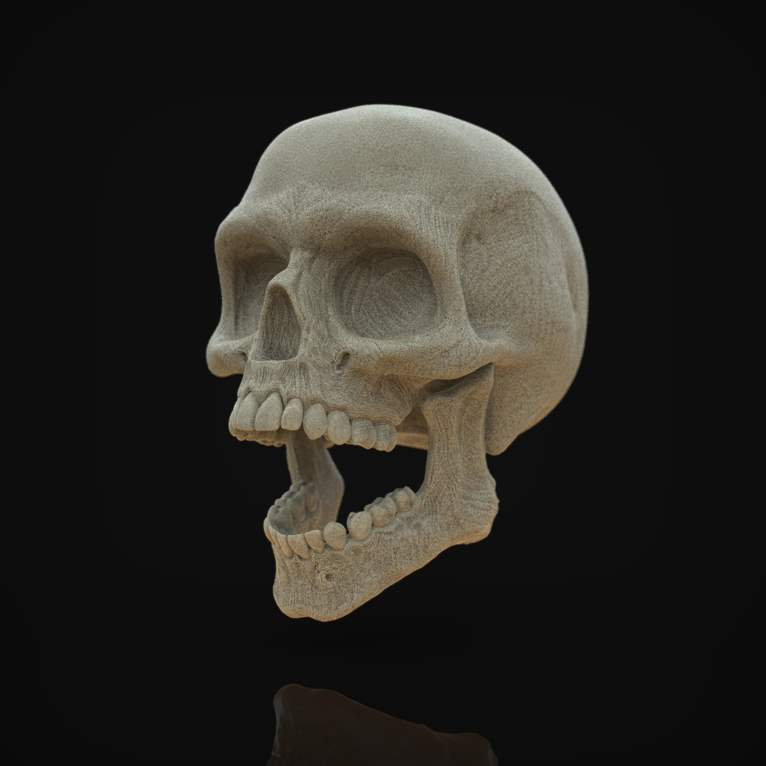 CalaveraK_01.110W.jpg