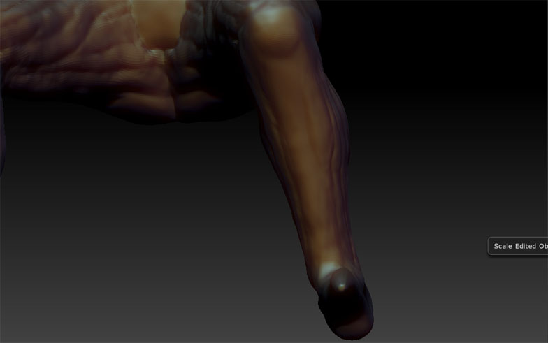 NewLvL_calf_front.jpg