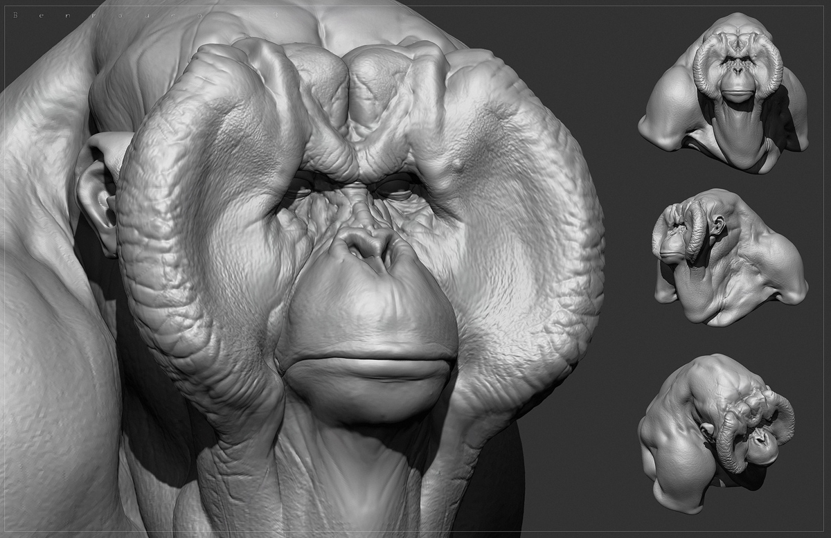 Primate_01_BM.jpg