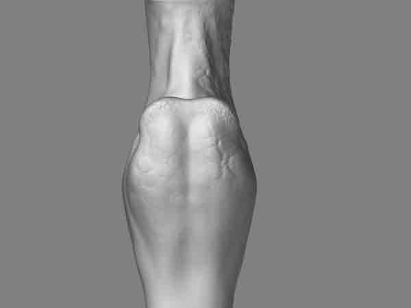 zbrush.jpg