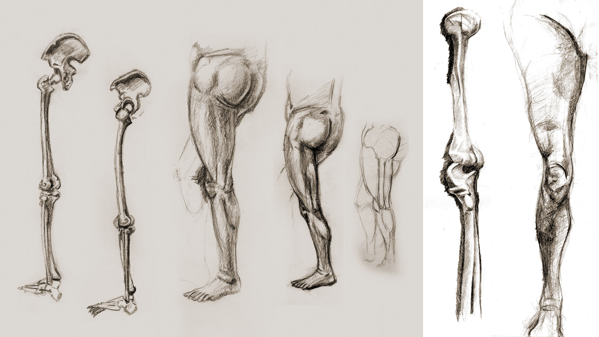 life drawing 010.jpg