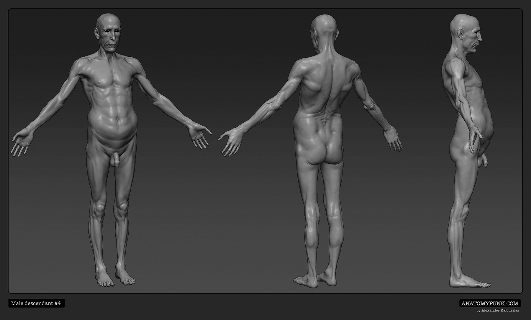 MaleDescendant4_spin.jpeg
