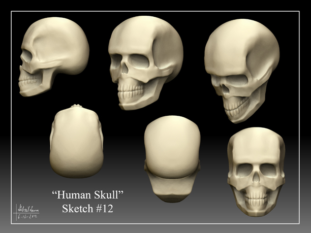 Human_Skull_Sketch_12.jpg