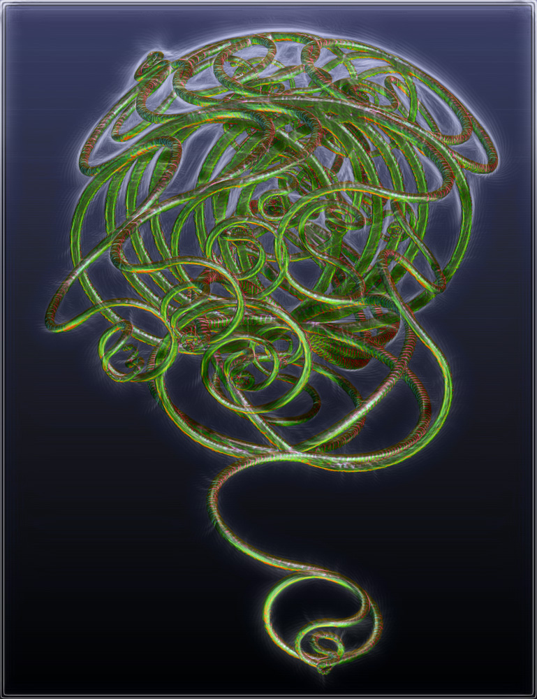 Vines1.jpg
