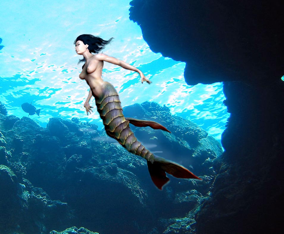 mer.jpg