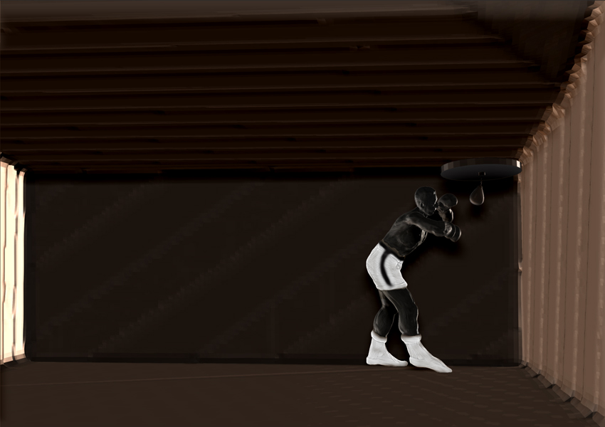 BOXER GYM 5.jpg