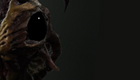 insectthumb.jpg