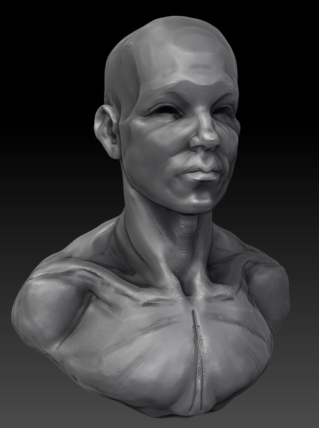 headstudyPersp1.jpg