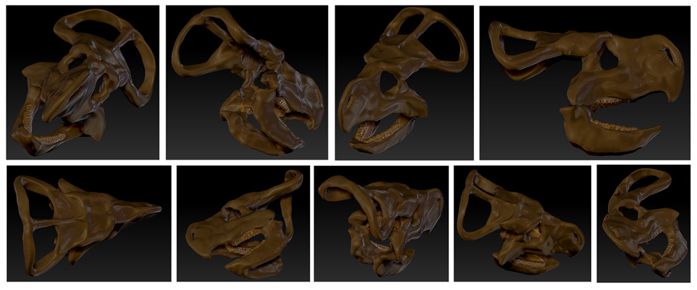 Protoceratops andrewsi complete sml.jpg