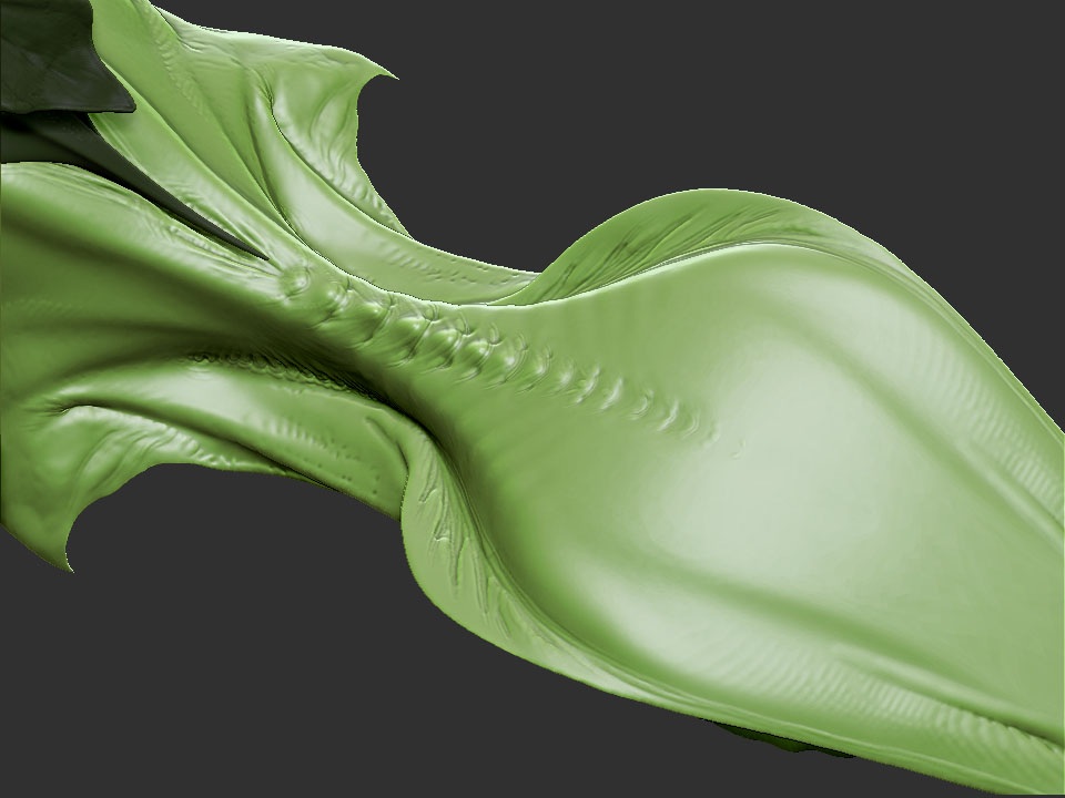 Body_01.jpg