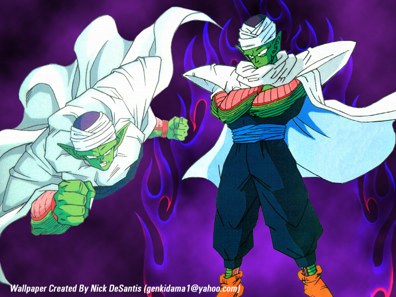 piccolo_25.jpg