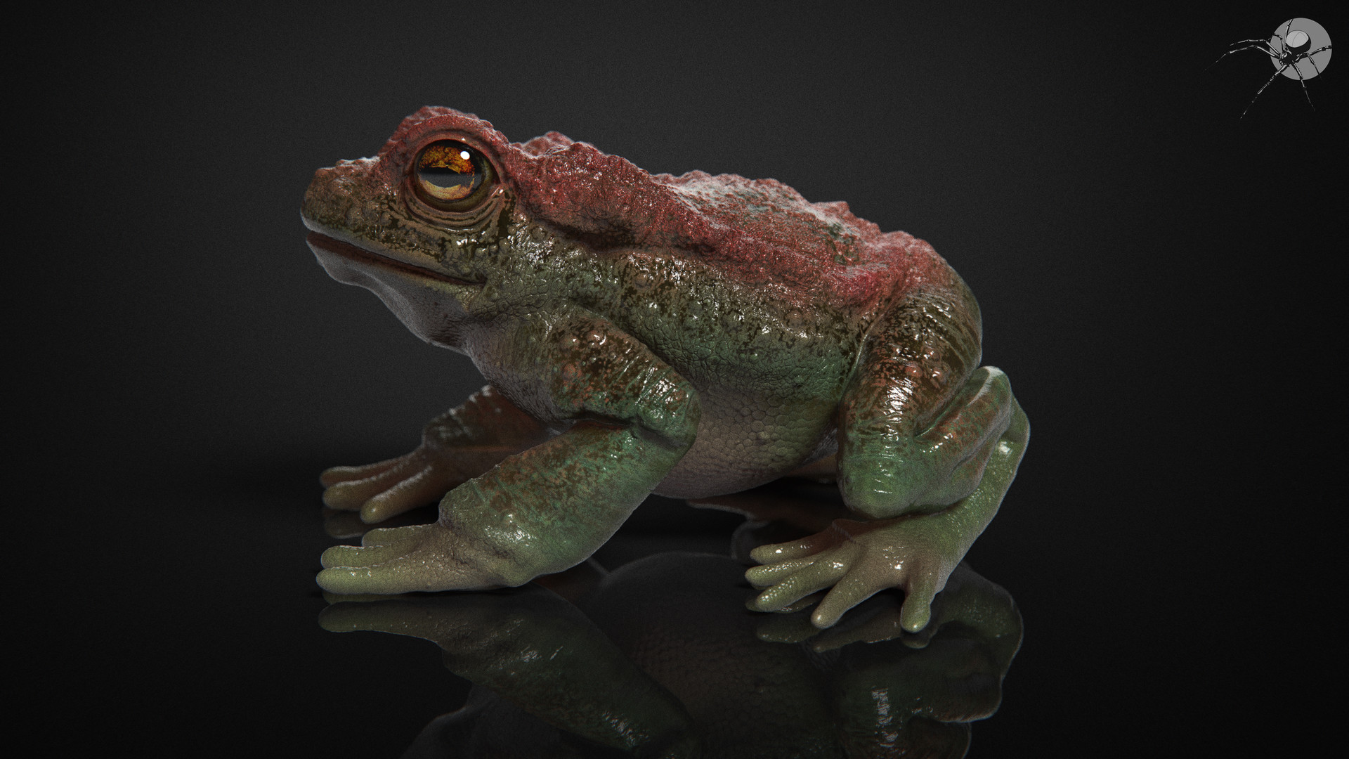 marcus-trolldenier-marcustrolldenier-tox-study-texturing-03.jpg