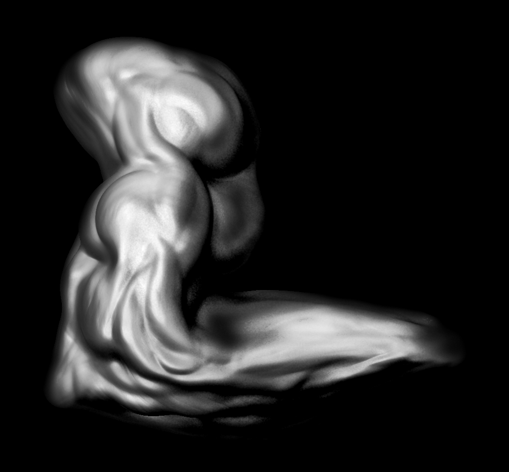 muscle07a.jpg