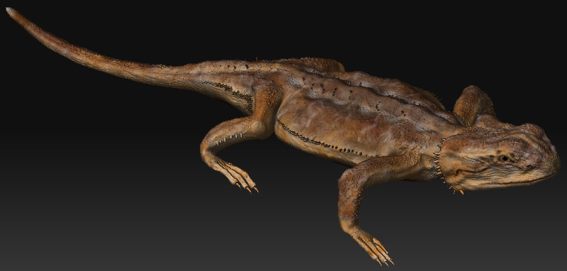 Update tex.jpg
