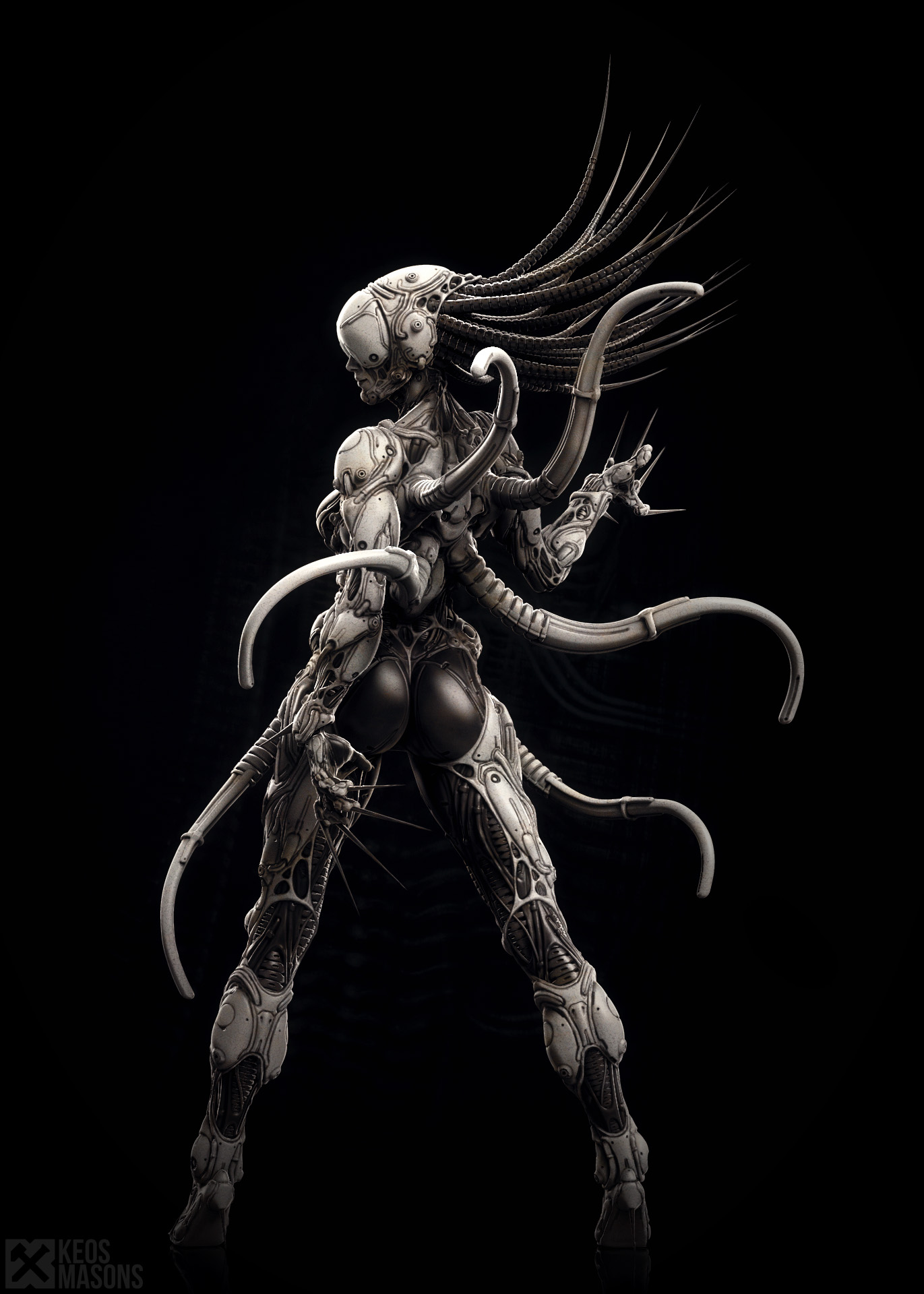widow1.jpg