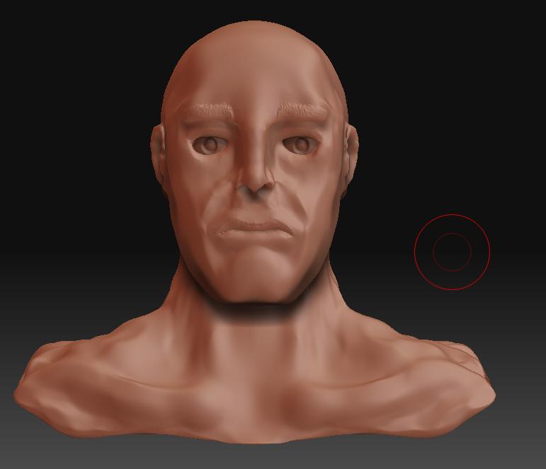 Bust9Front.jpg