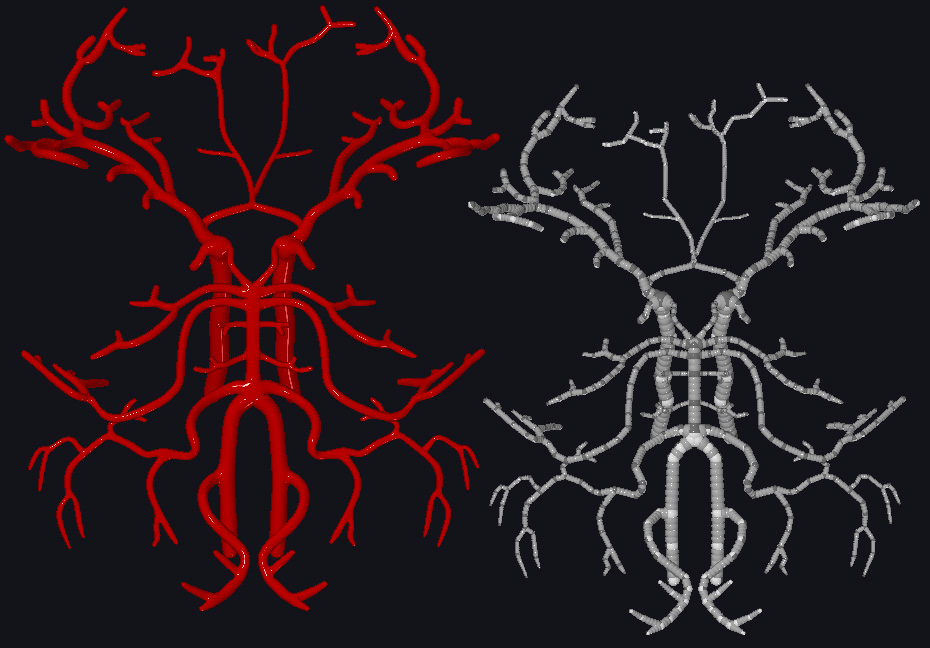 arteries.jpg