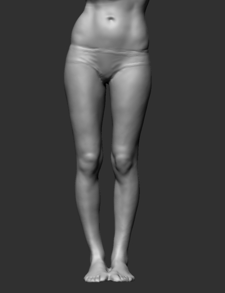 fem anatom2.jpg
