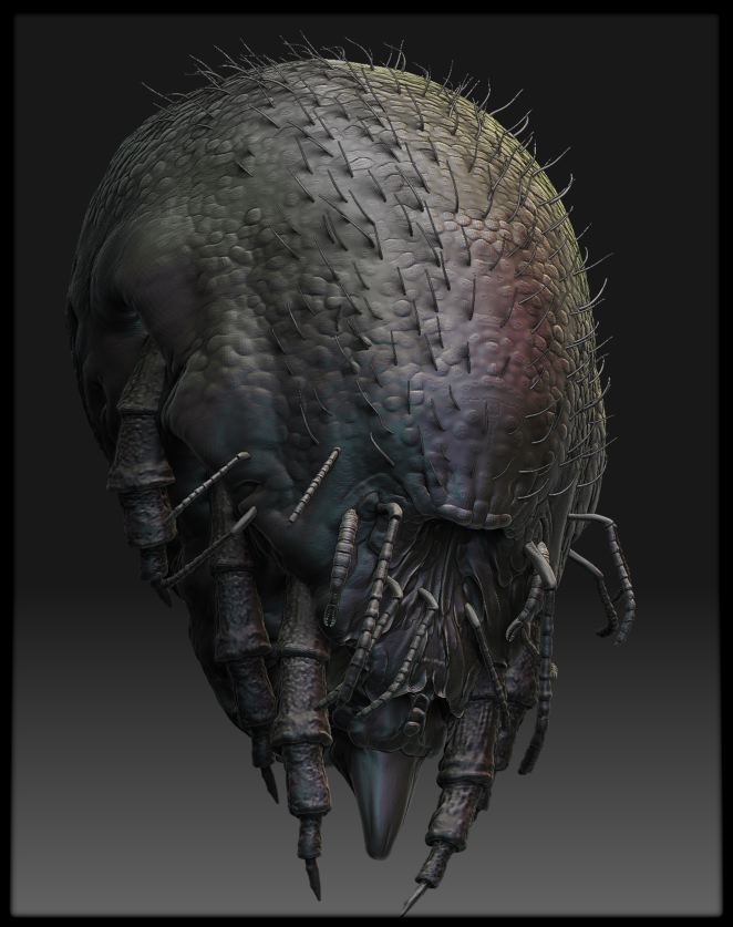 mogohead2.jpg