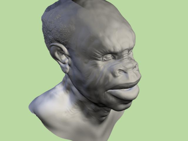 head.jpg