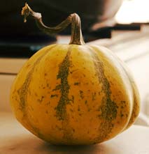 calabaza_thumb.jpg