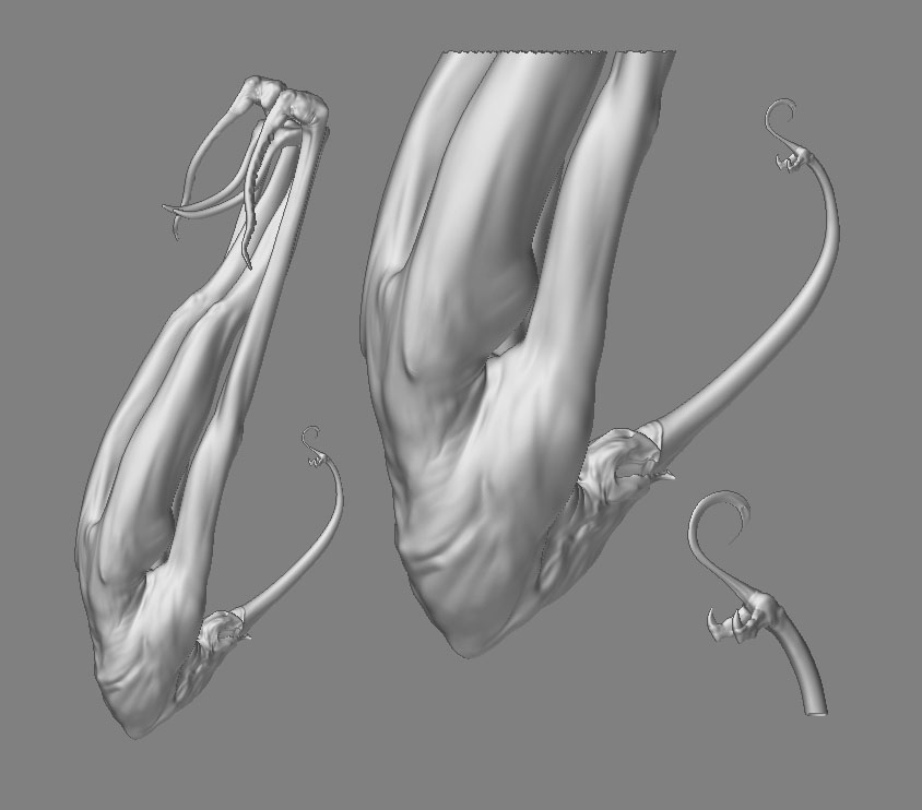 ZBrush Document A.jpg