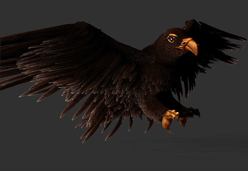 Eagle-test-8.jpg