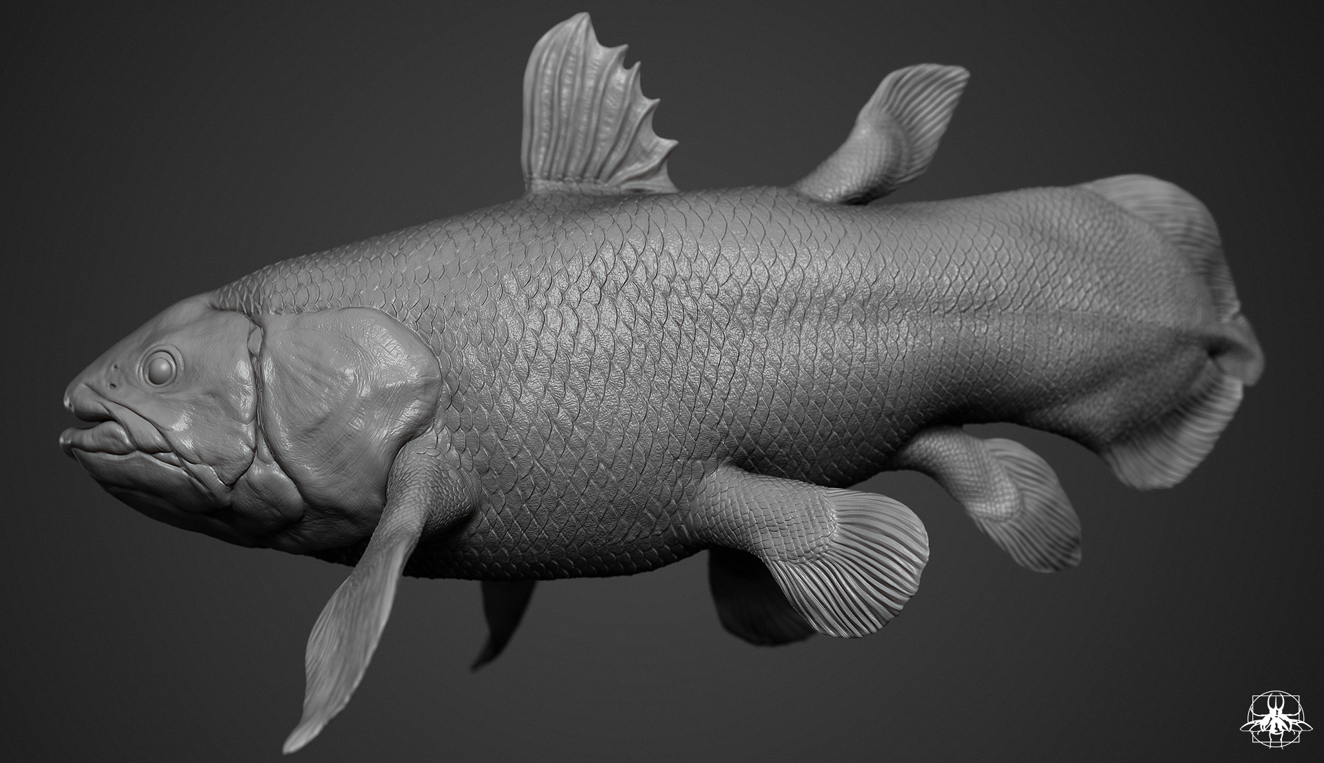 V_Coelacanth_05.jpg