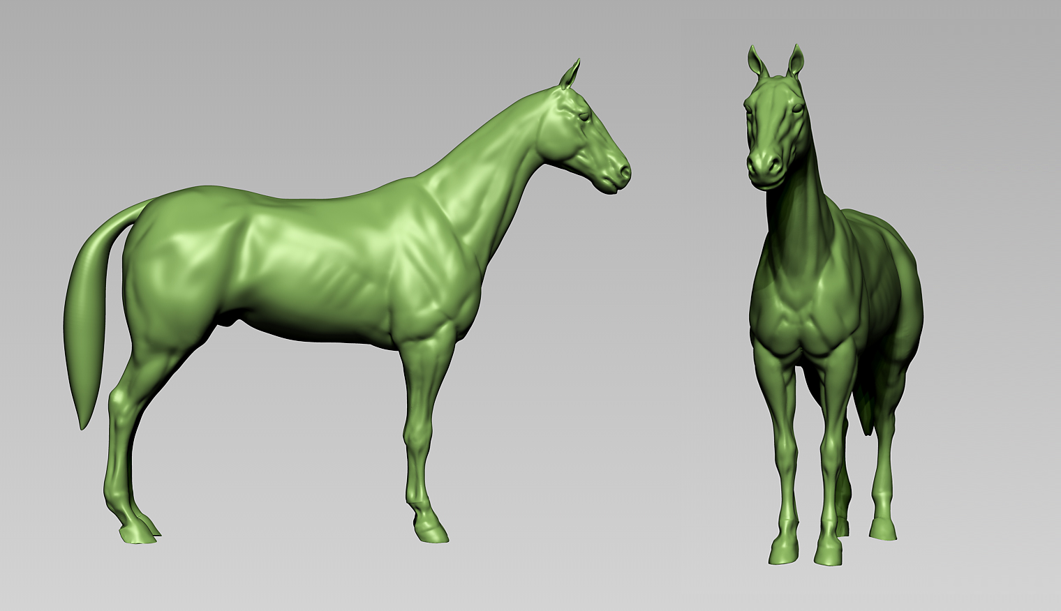 horse-wip02.jpg