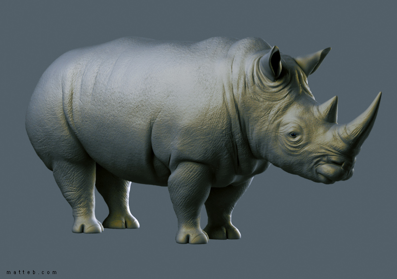 rhino.jpg