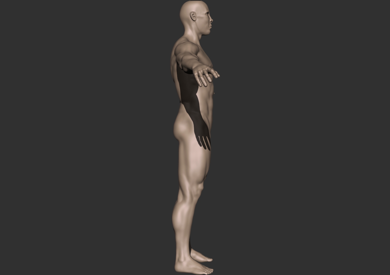 bodybuilder_profile.jpg