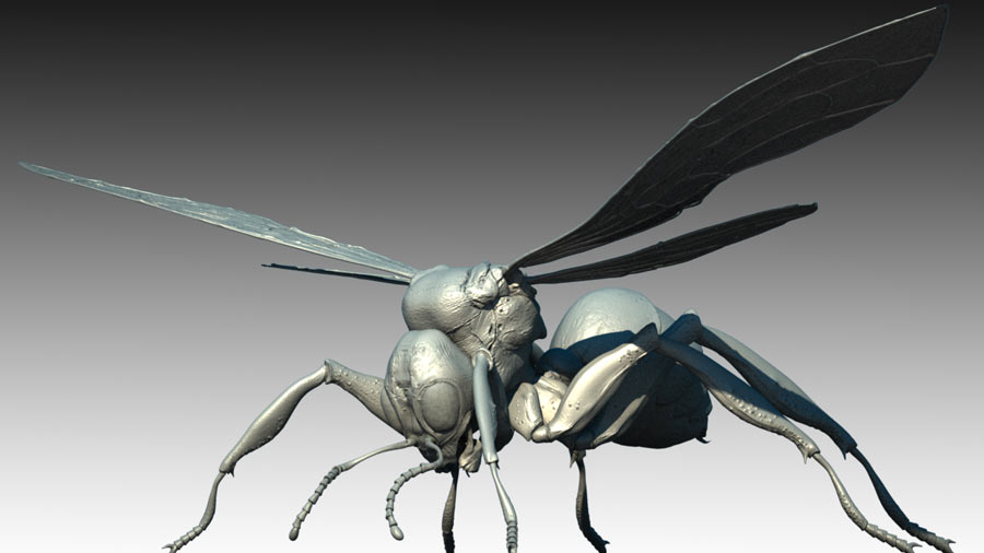sphecomyrma_TestRender04.jpg